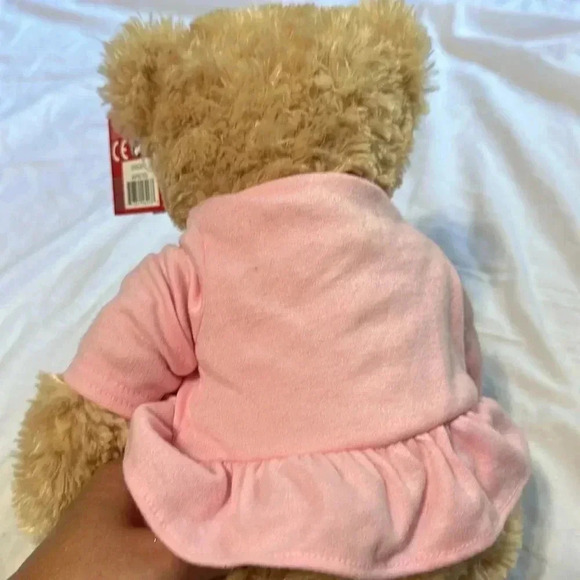 FAO Schwarz Teddy Bear Plush Pink Dress Silver Heart Toys R Us 2011 New - Picture 6 of 6